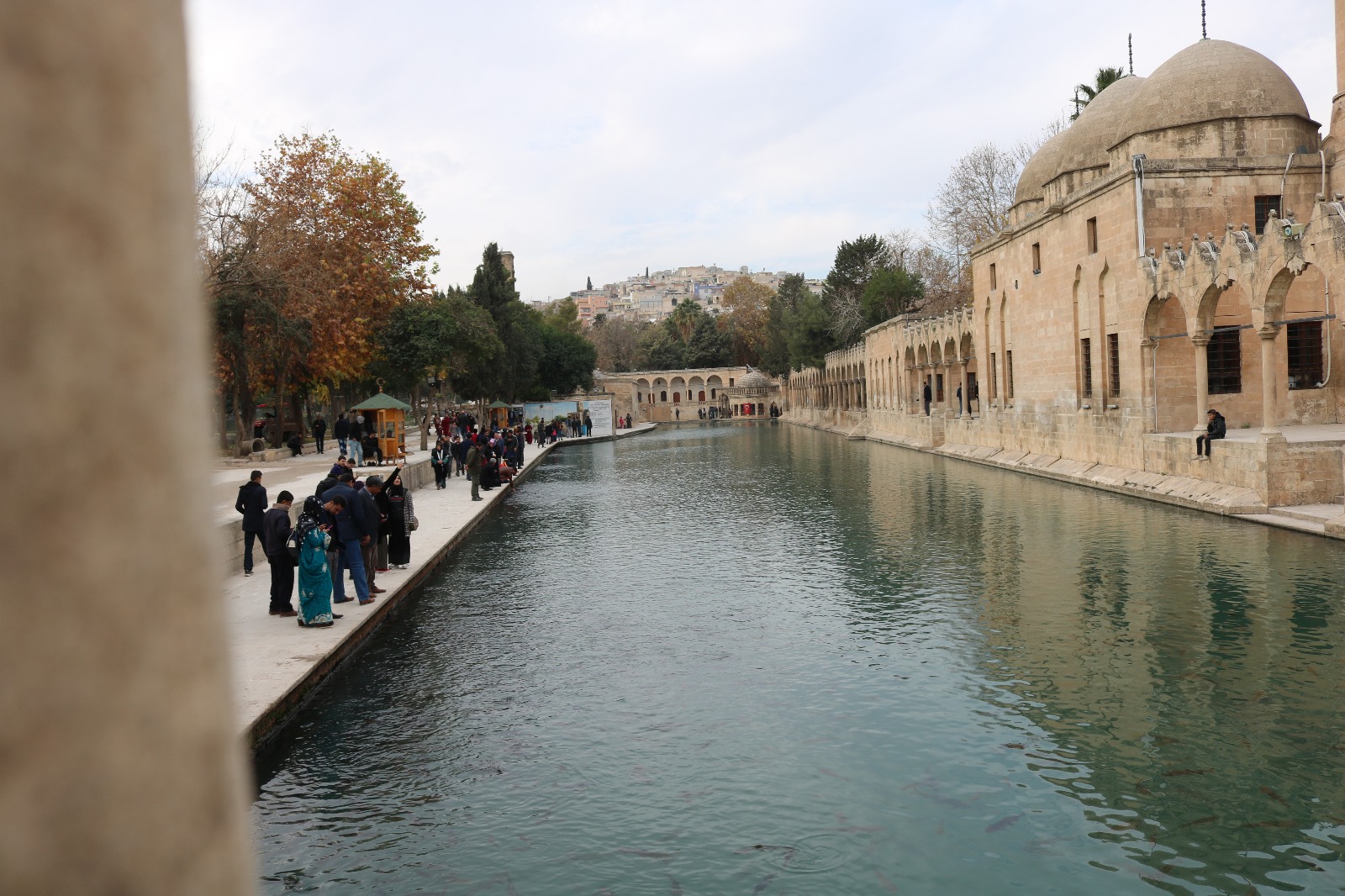 Fotoğraflarla Balıklıgöl (Gola Masiya)